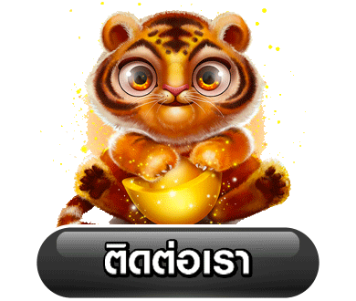 profit55 ทางเข้า